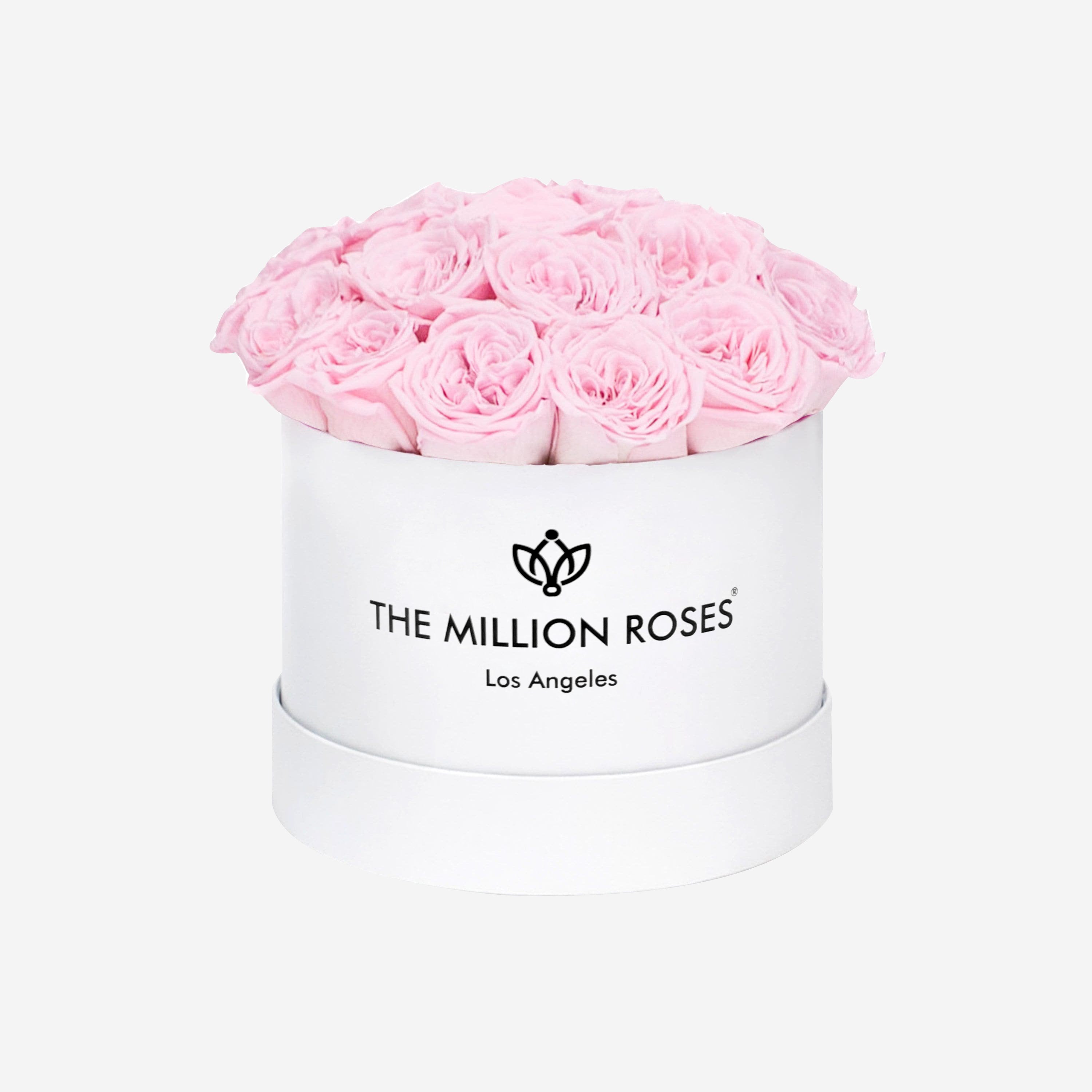 Classic White Dome Box | Light Pink Roses