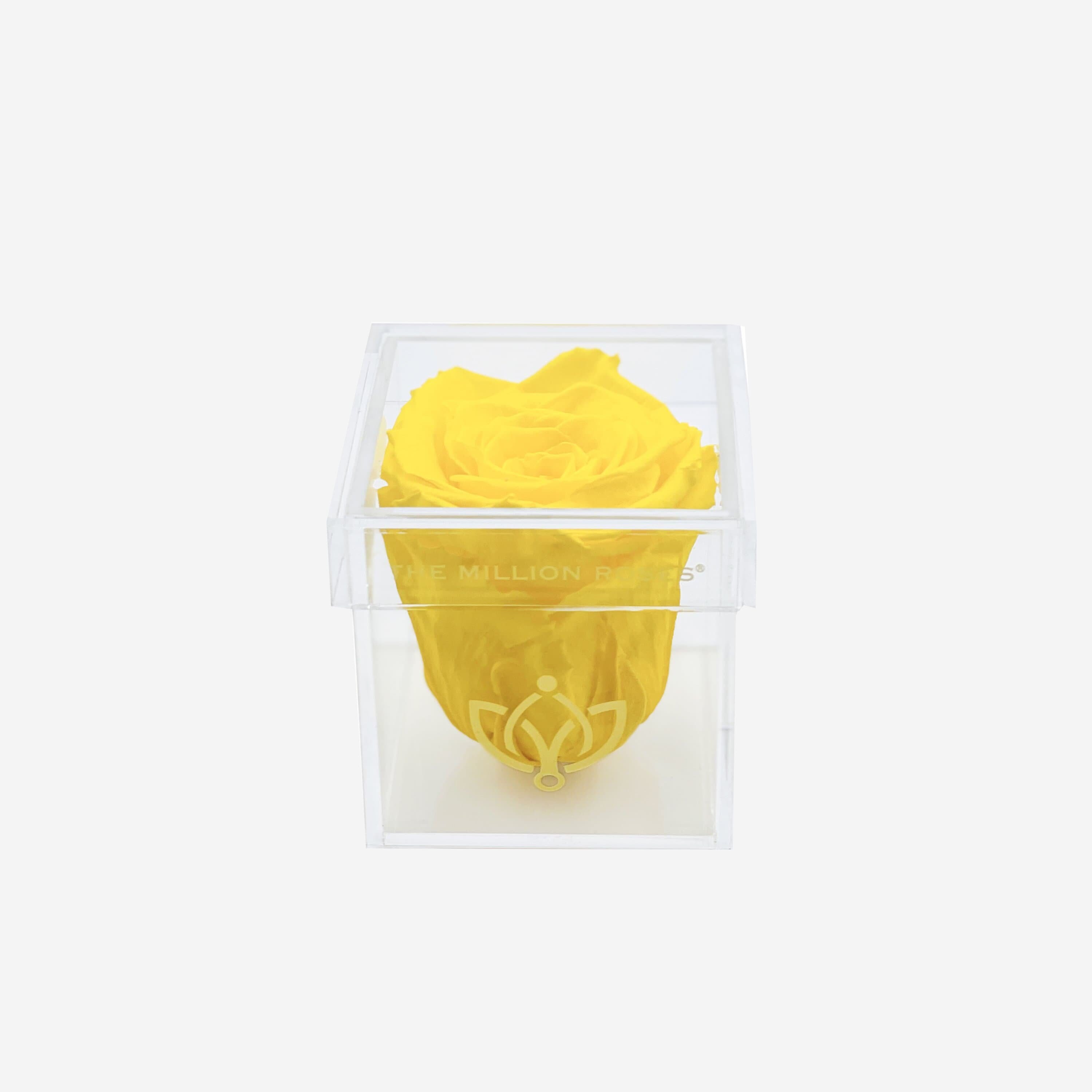 Acrylic Single Box | Yellow Rose