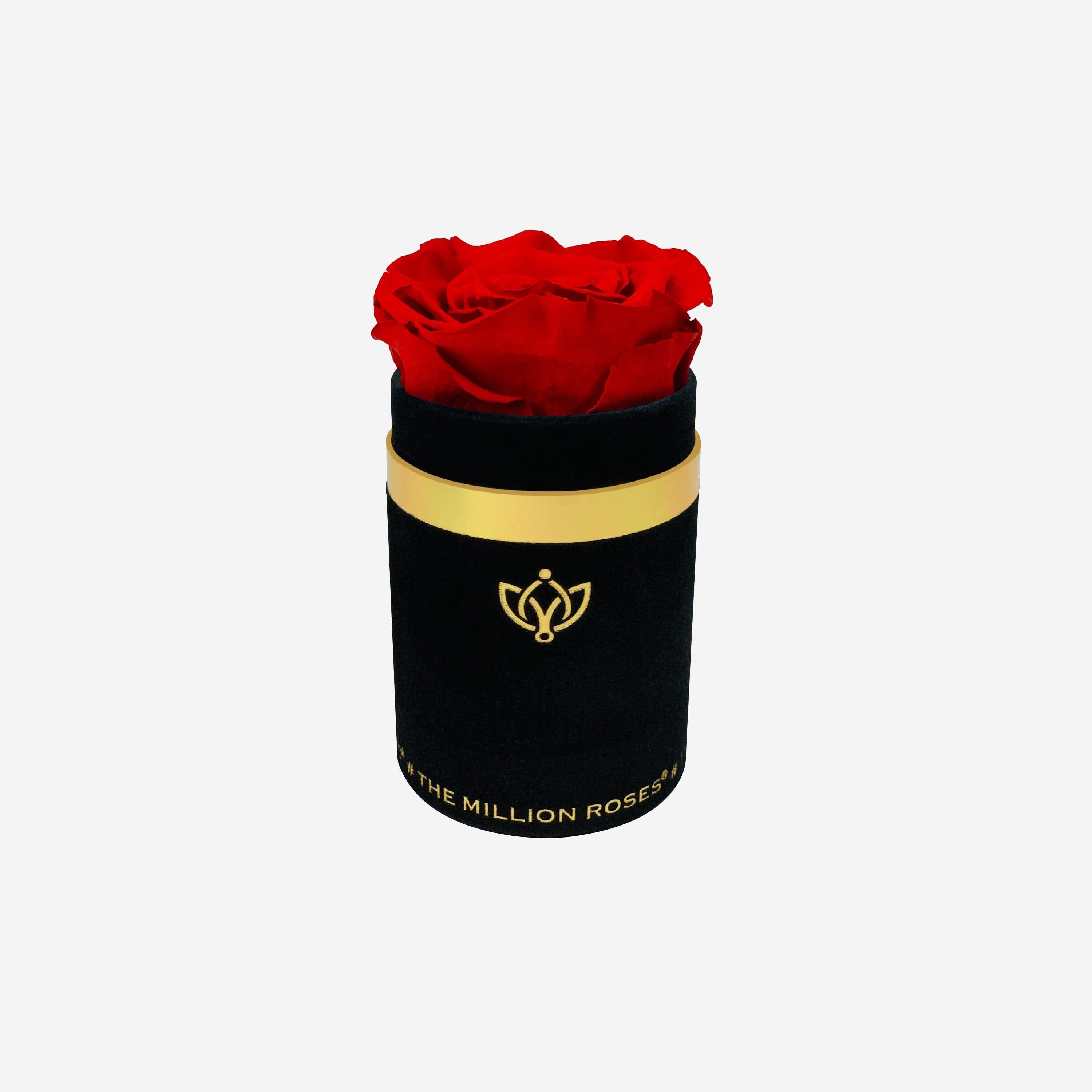 Single Black Suede Box | Red Rose