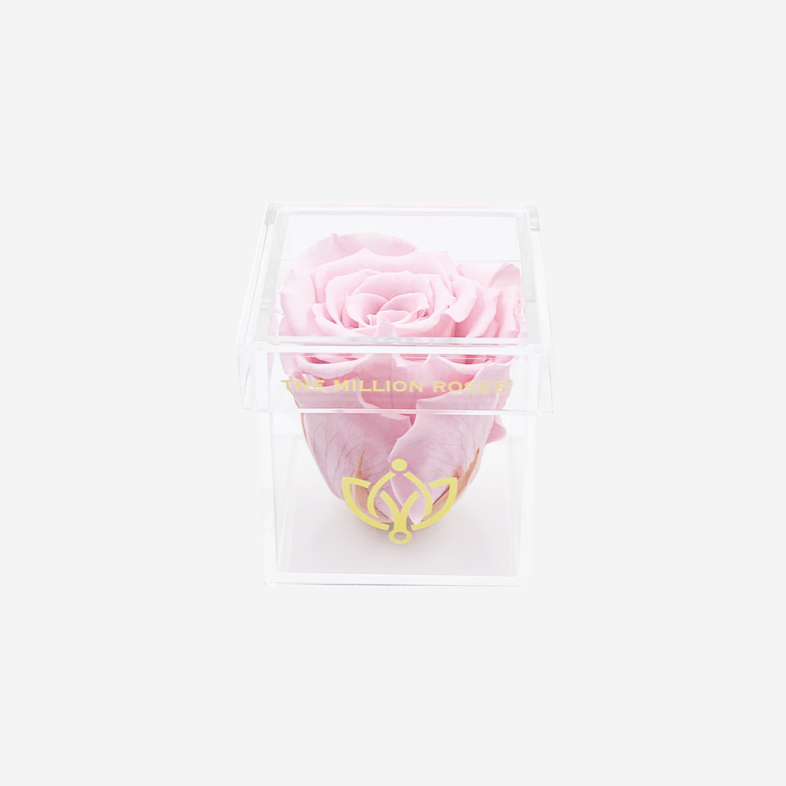 Acrylic Single Box | Light Pink Rose