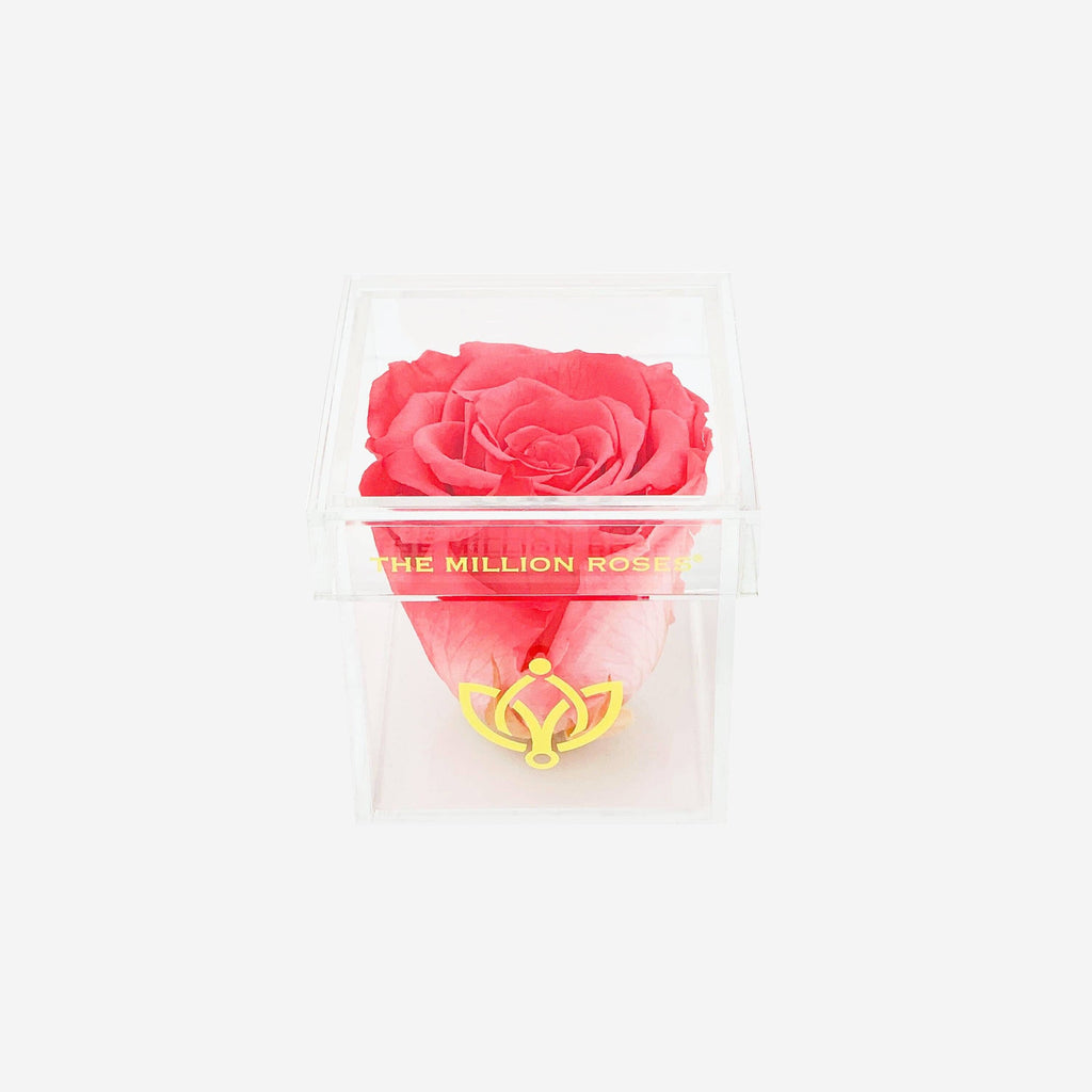 Acrylic Single Box | Coral Rose