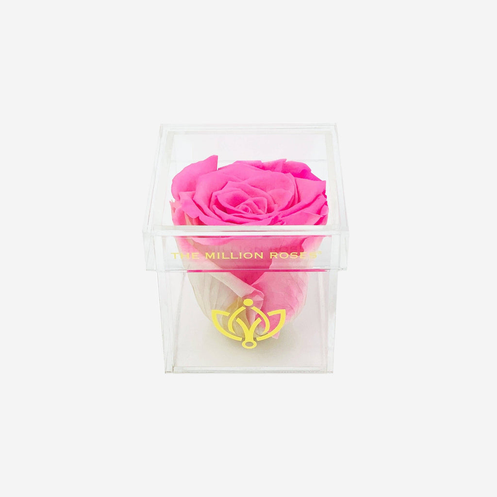 Acrylic Single Box | Candy Pink Rose