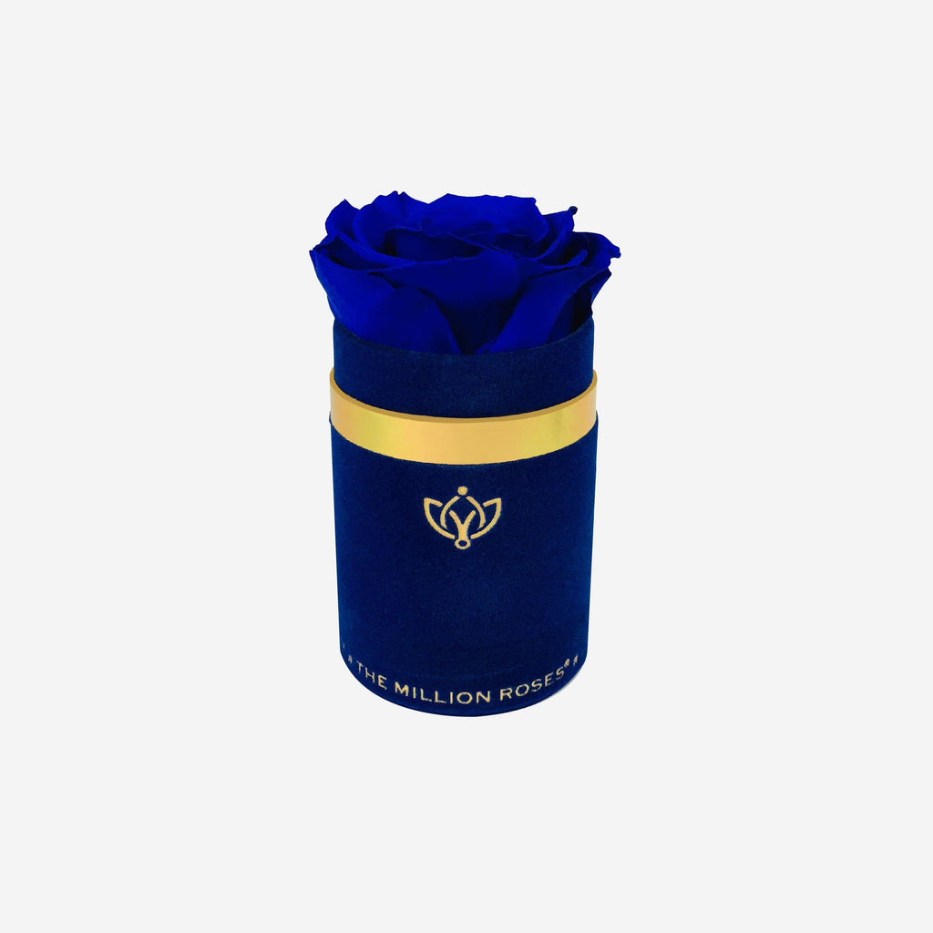 Single Royal Blue Suede Box | Royal Blue Rose