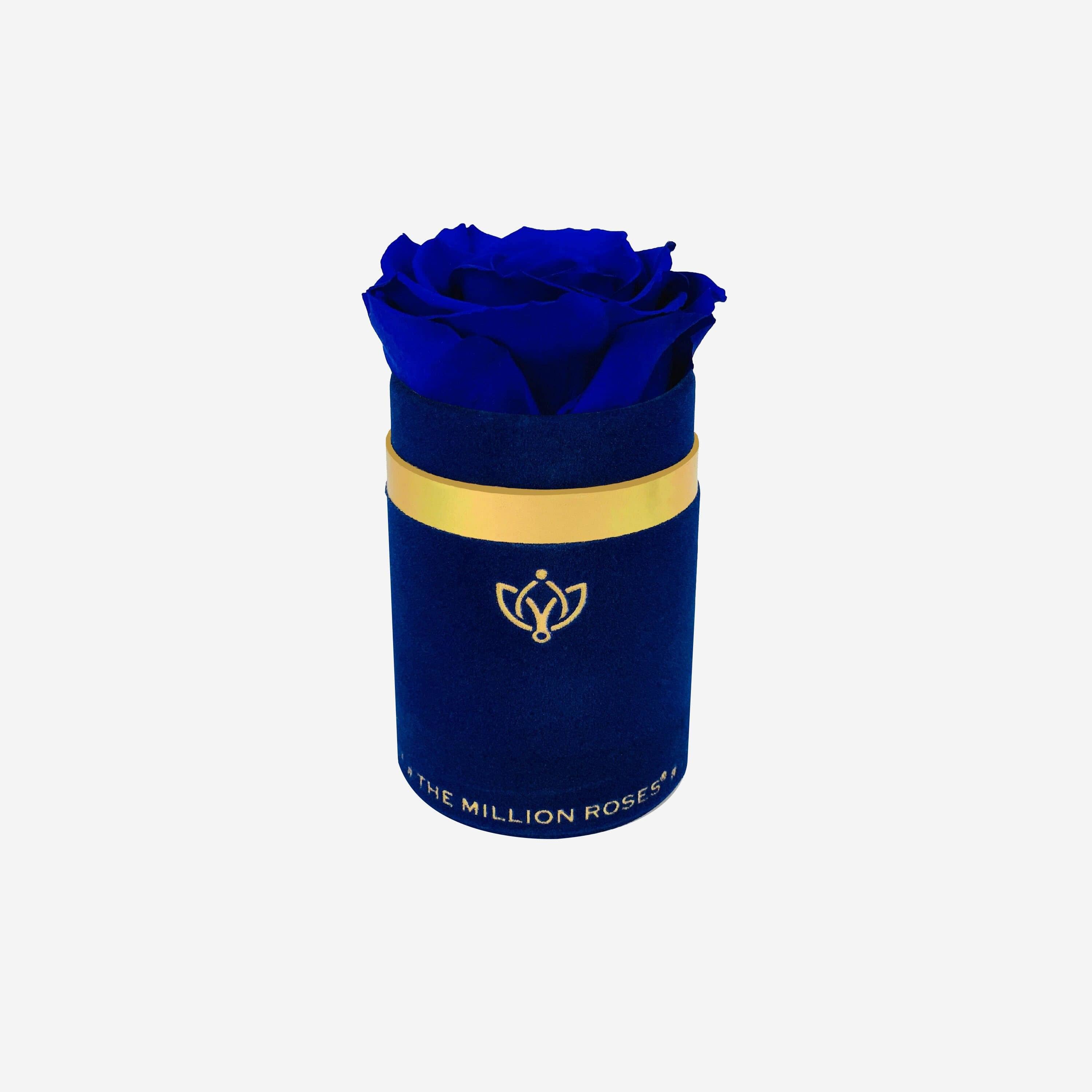 Single Royal Blue Suede Box | Royal Blue Rose