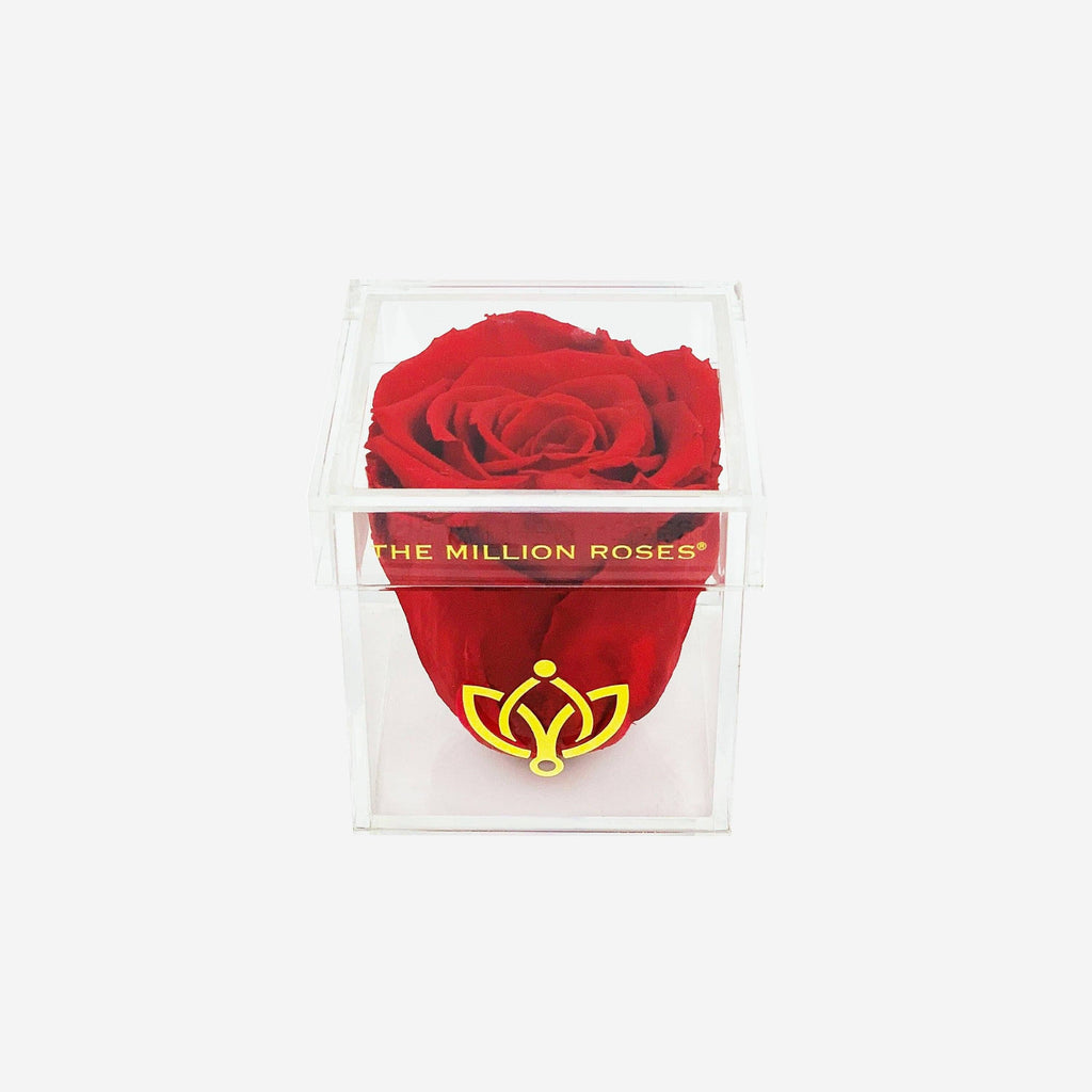 Acrylic Single Box | Red Rose