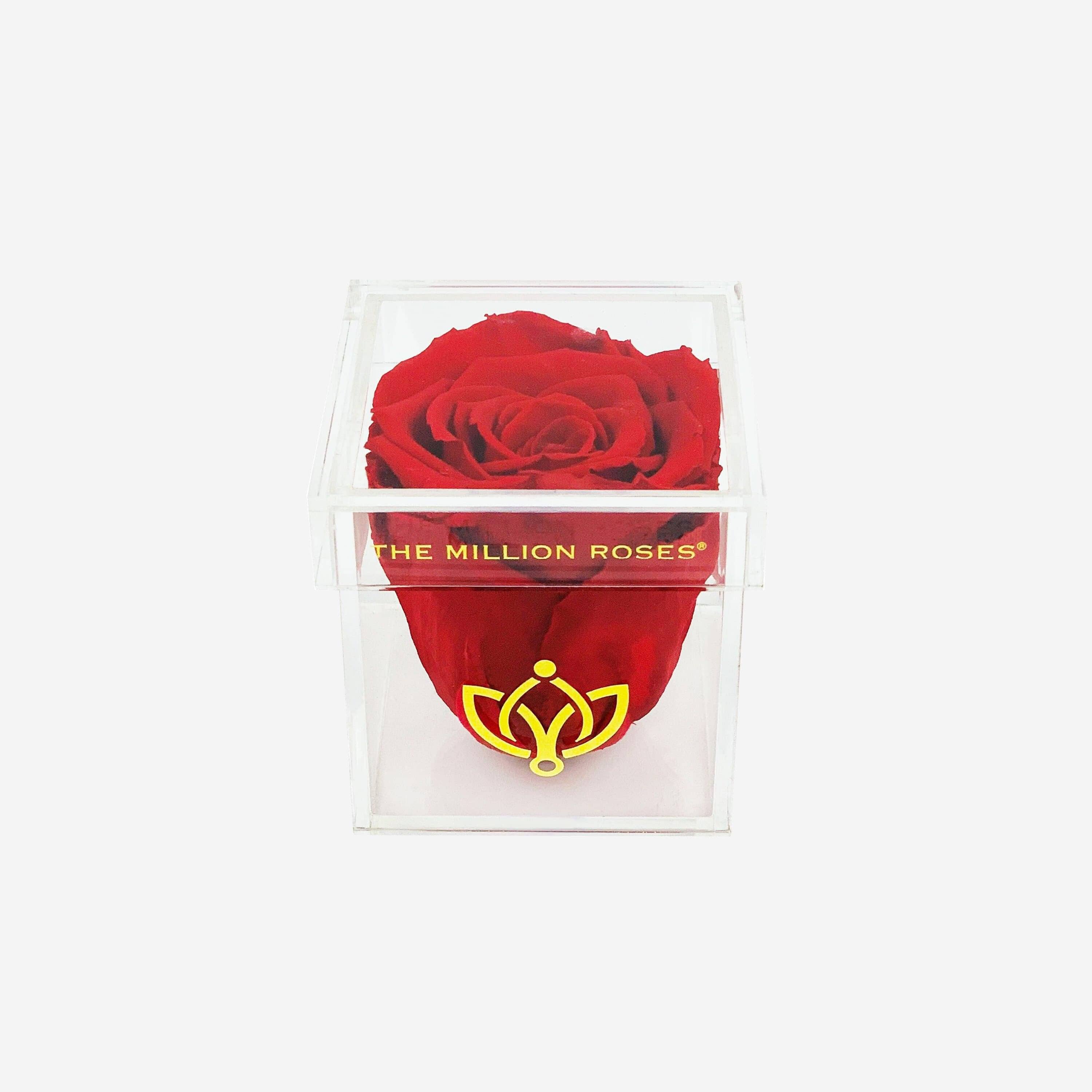 Acrylic Single Box | Red Rose