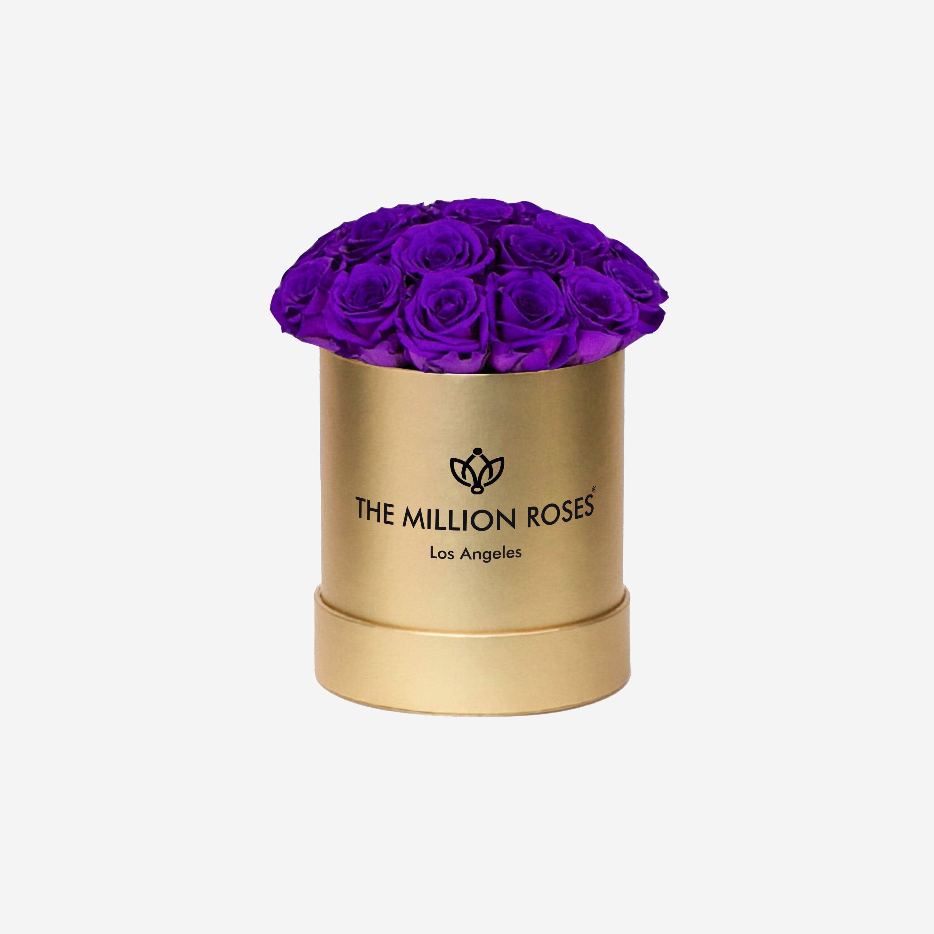 Basic Gold Box | Bright Purple Roses