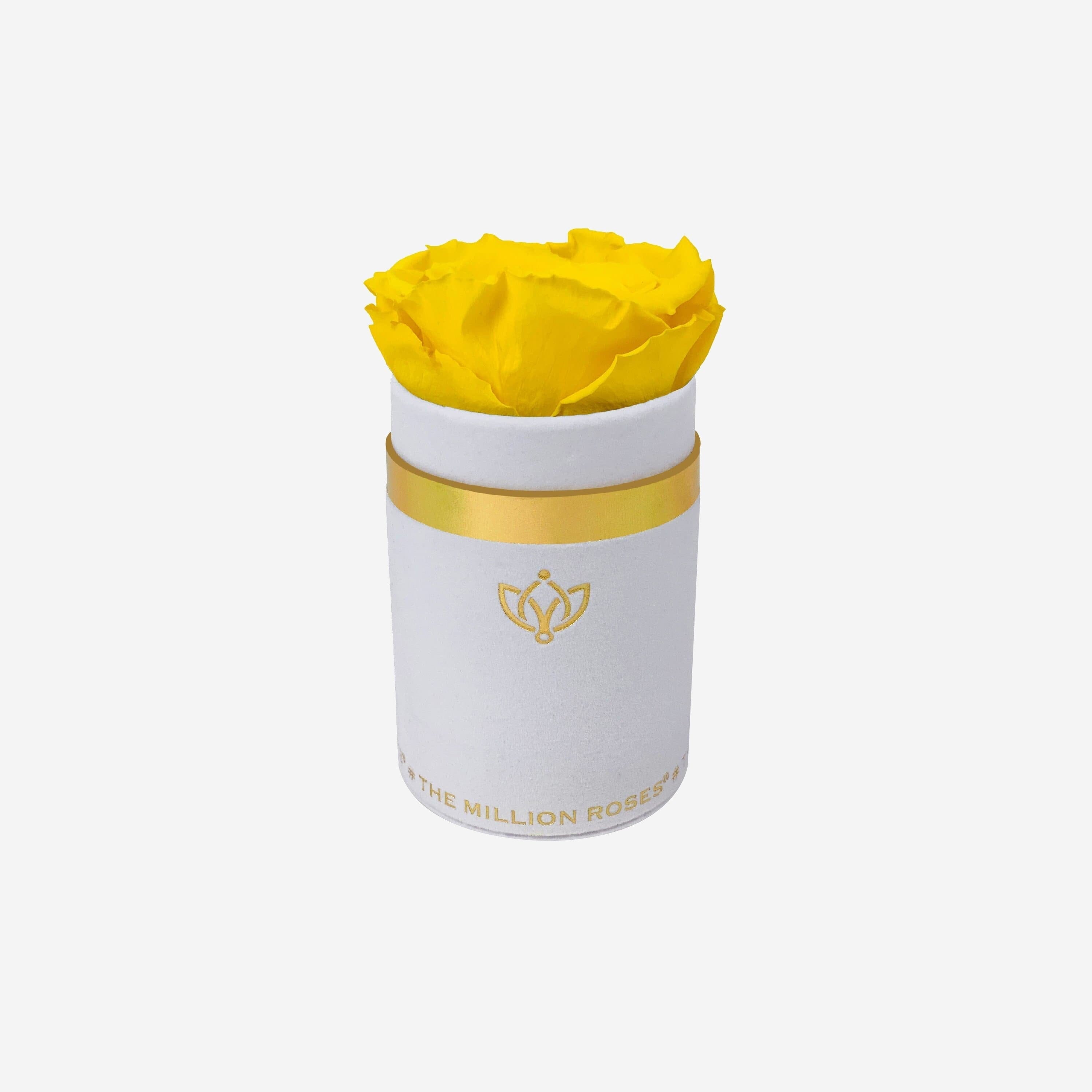 Single White Suede Box | Yellow Rose