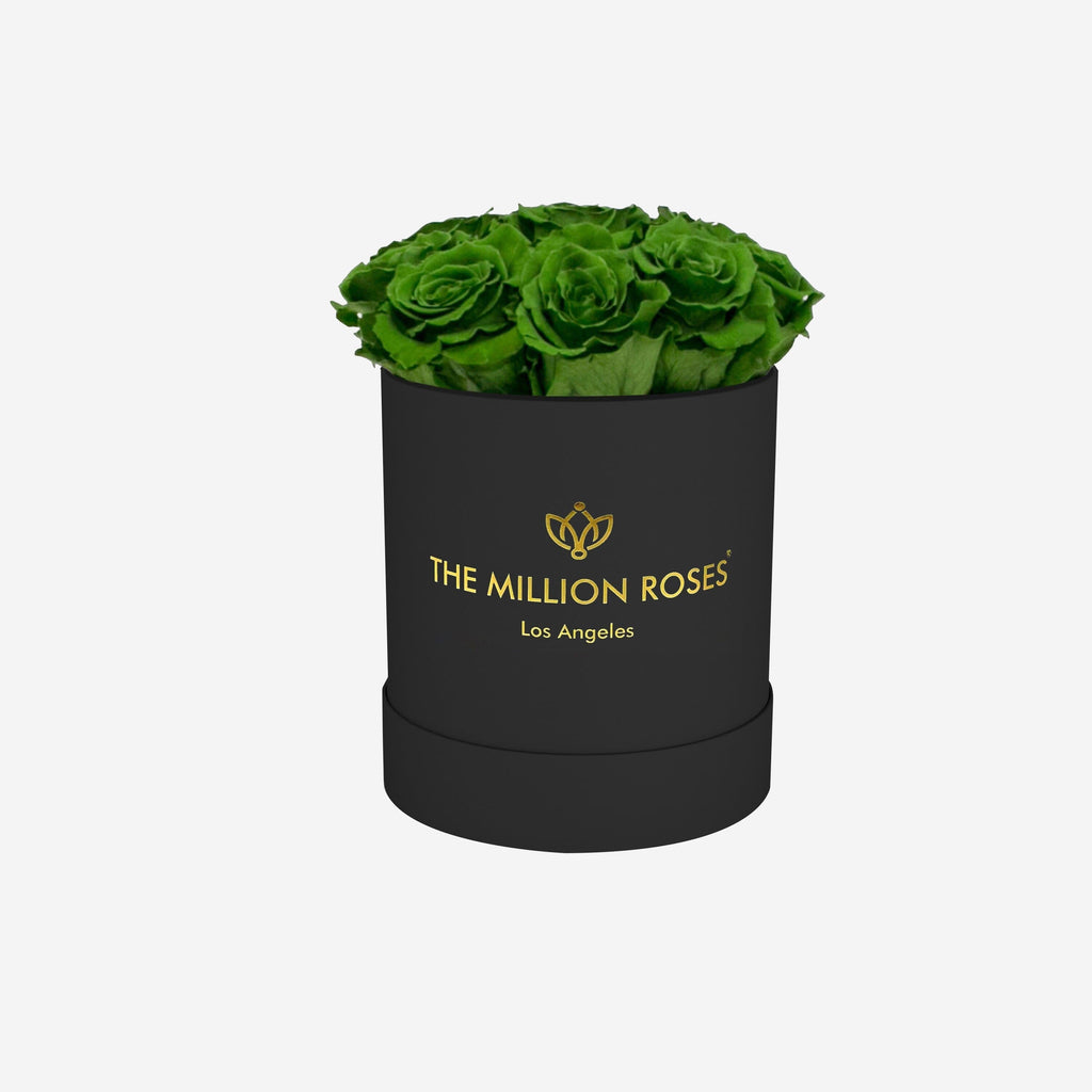 Basic Black Box | Dark Green Roses