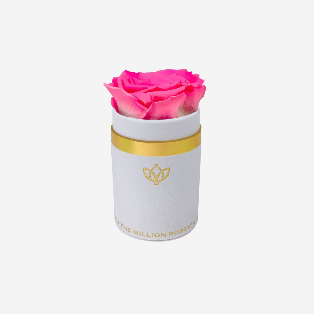 Single White Suede Box | Candy Pink Rose