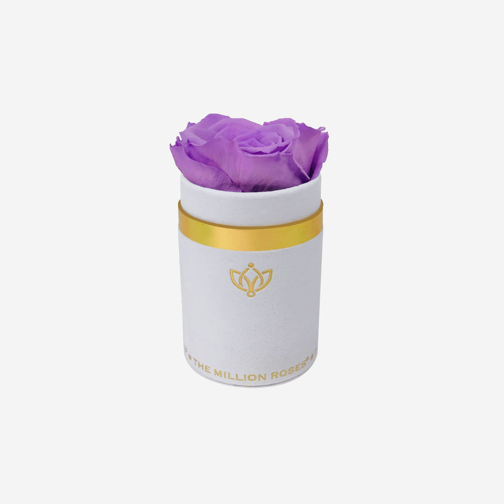 Single White Suede Box | Lavender Rose