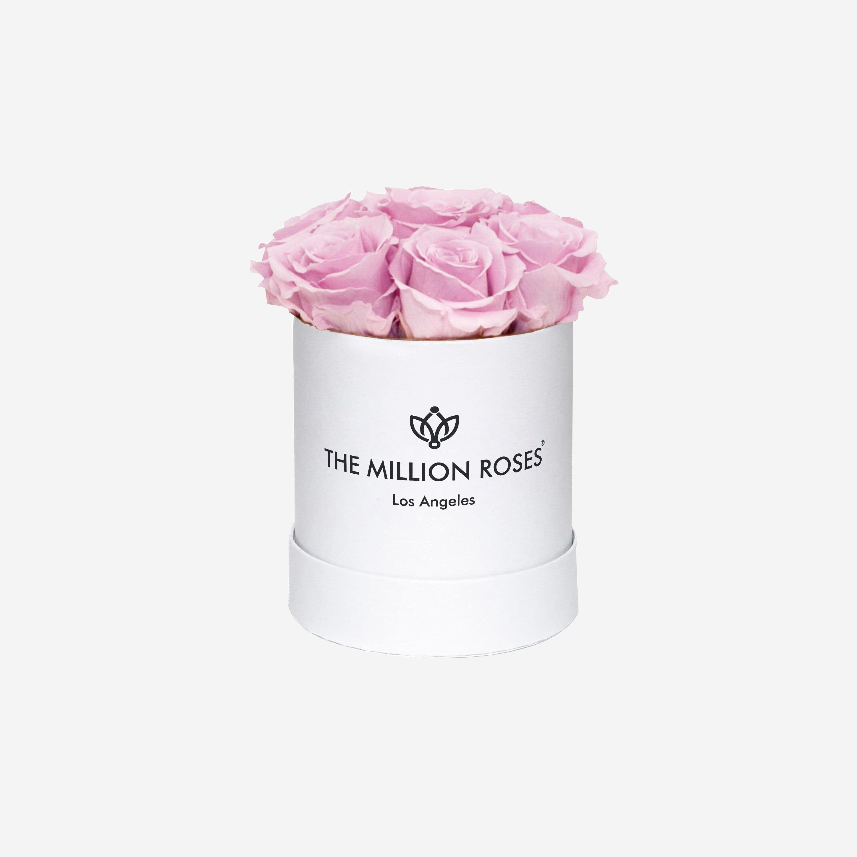 Basic White Box | Light Pink Roses