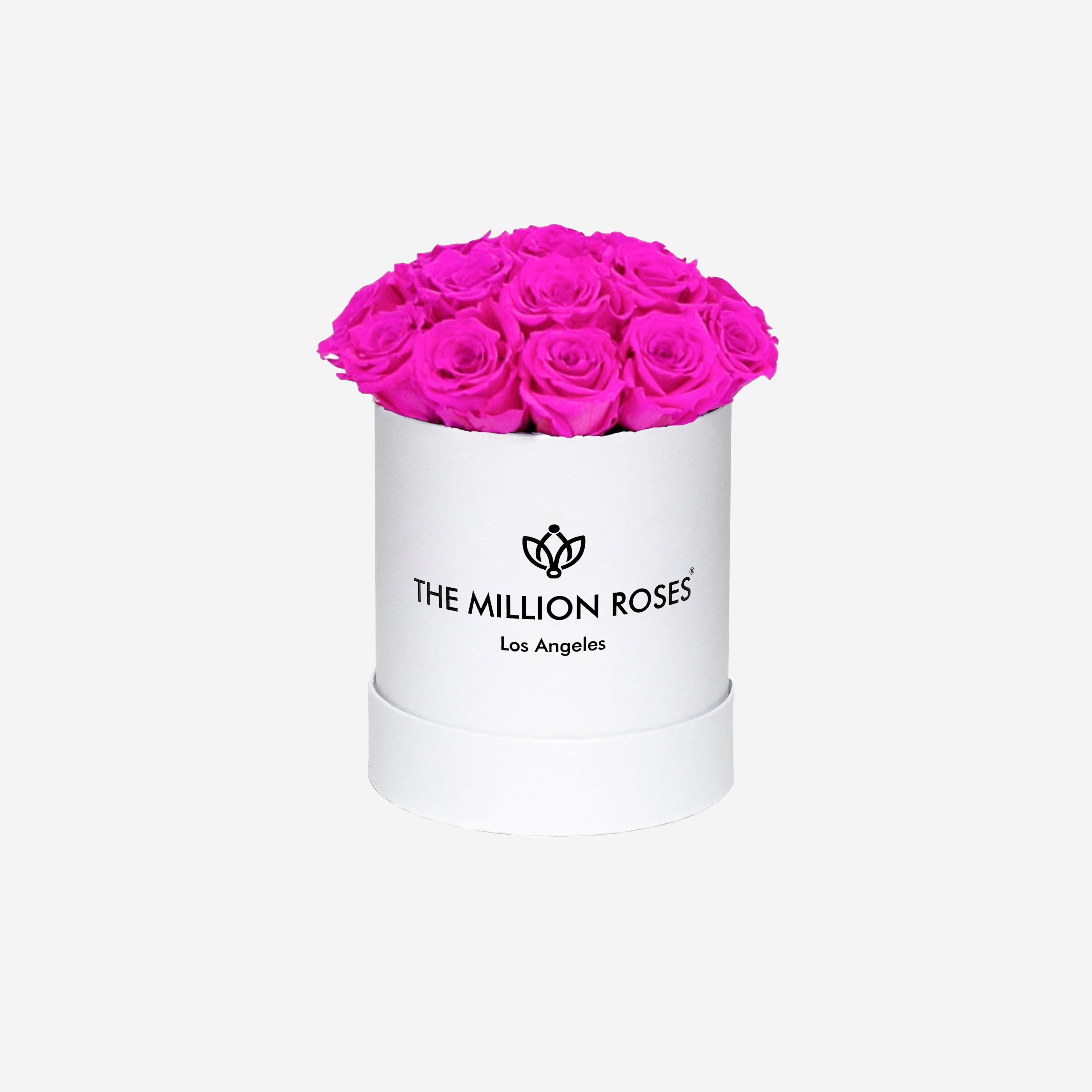 Basic White Box | Neon Pink Mini Roses