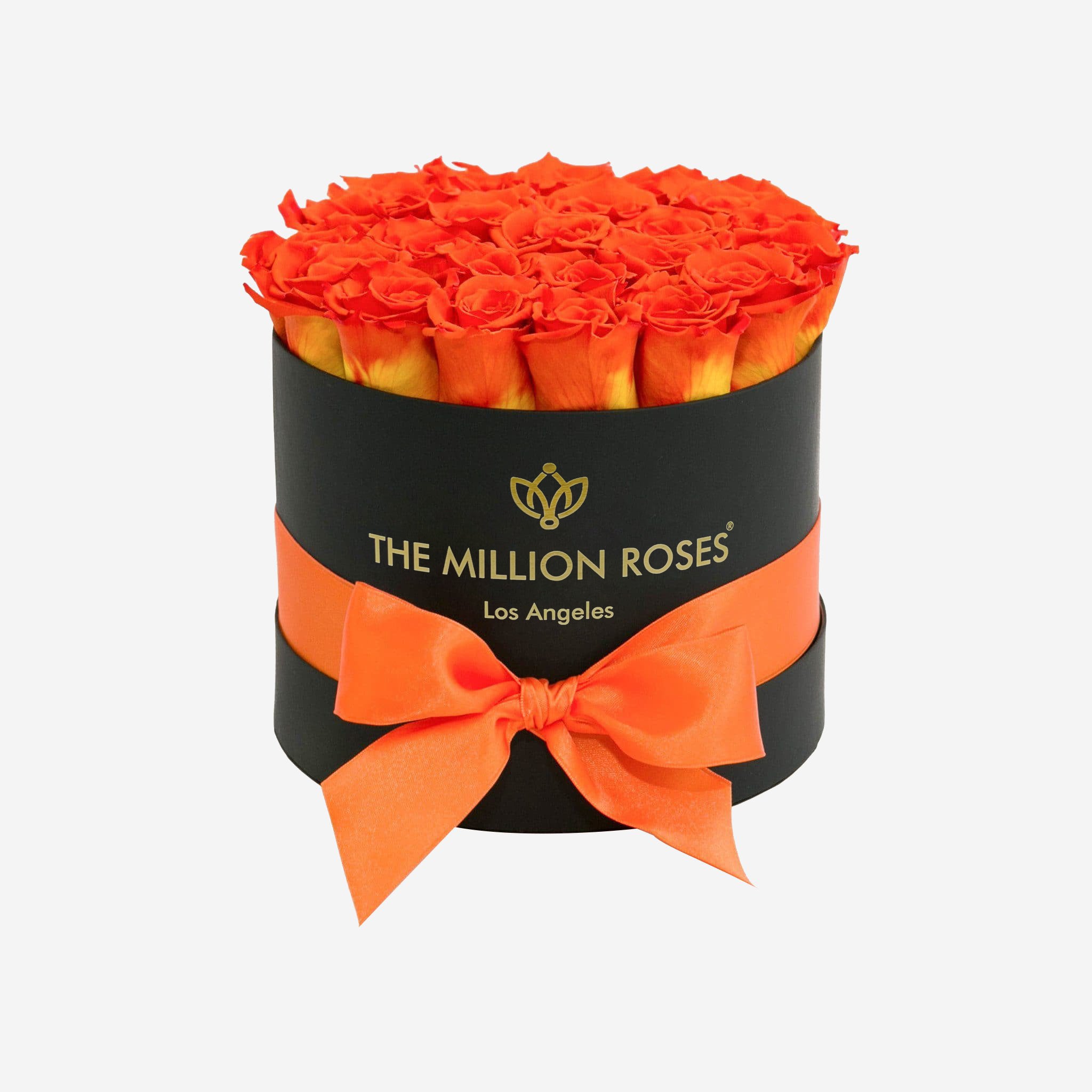 Classic Black Box | Orange Roses