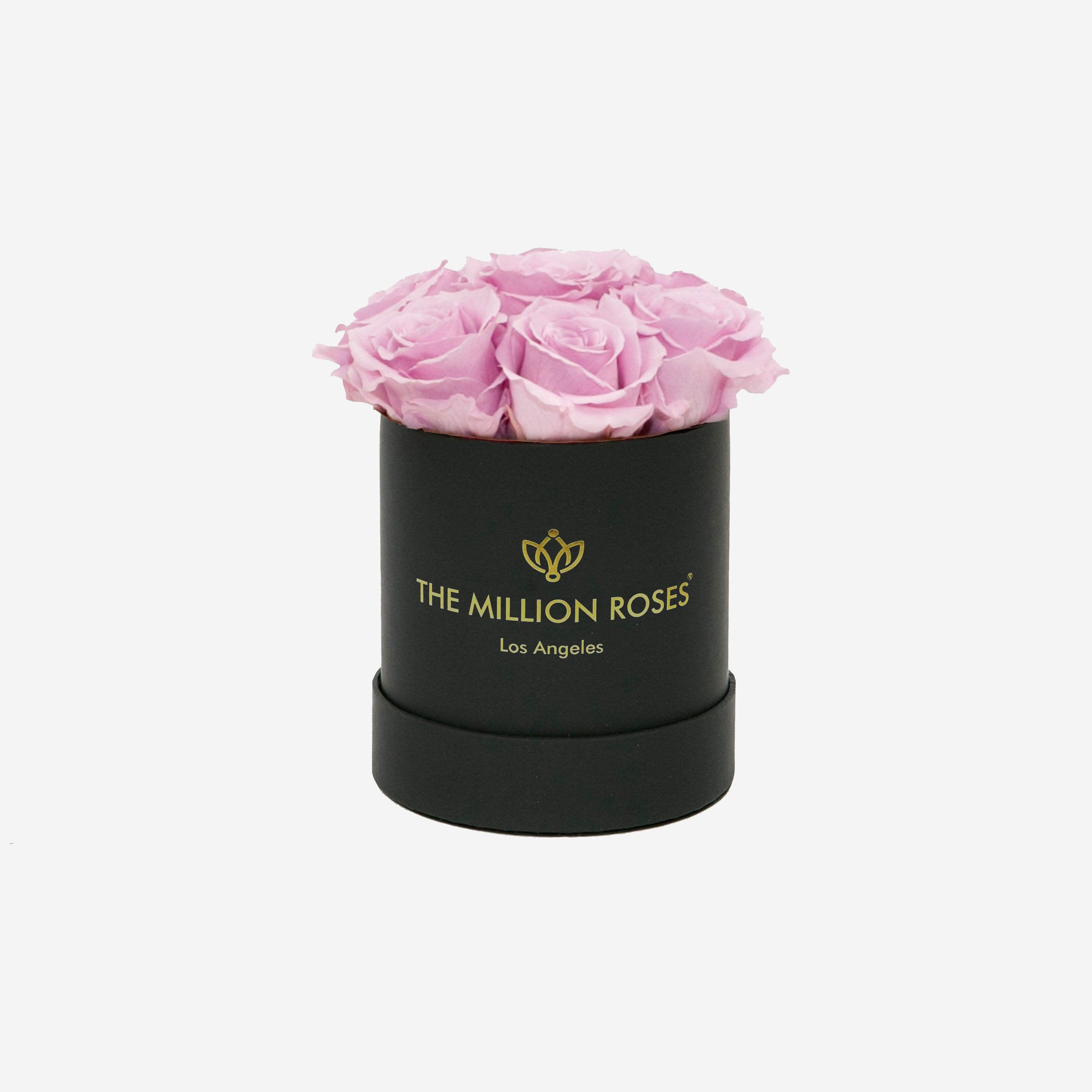 Basic Black Box | Light Pink Roses