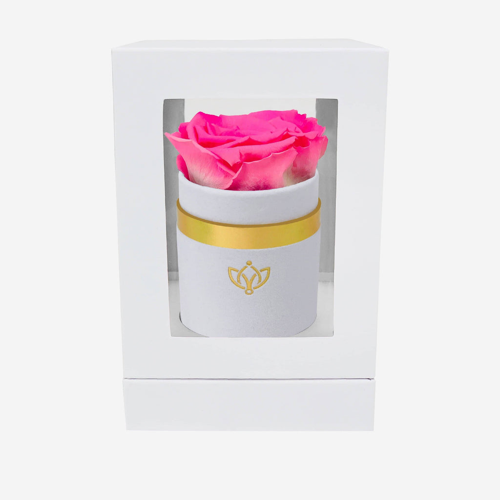 Single White Suede Box | Candy Pink Rose