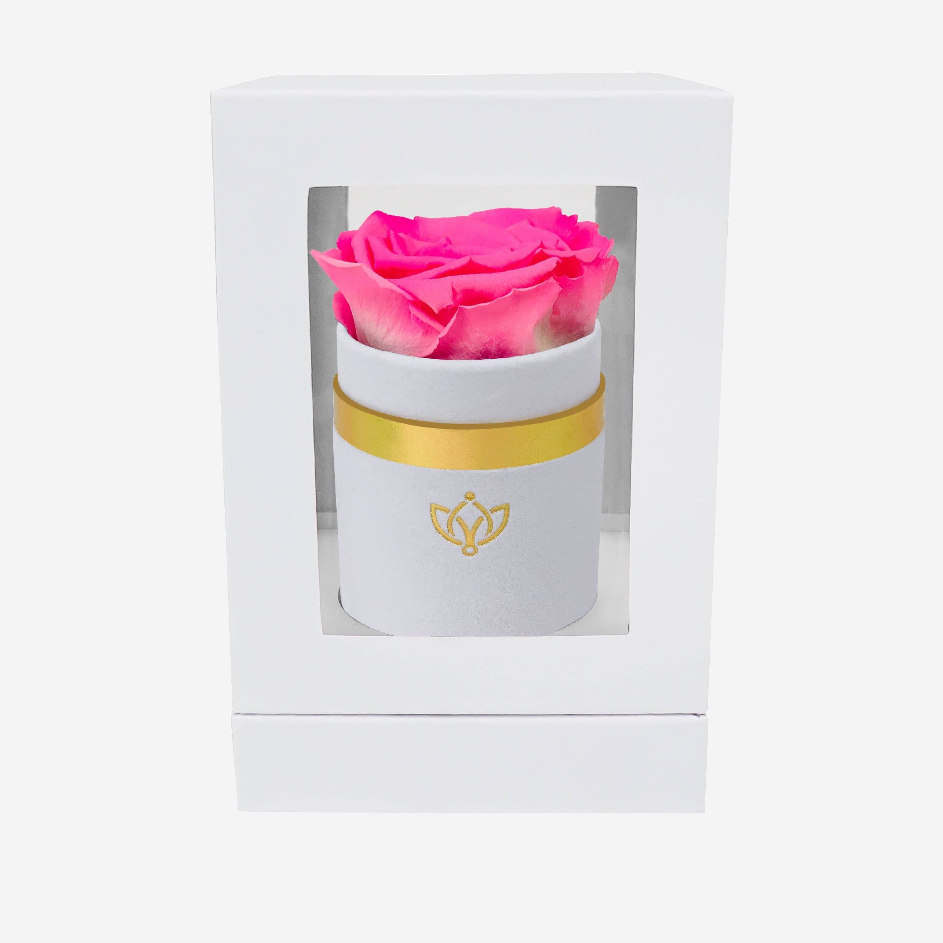 Single White Suede Box | Candy Pink Rose