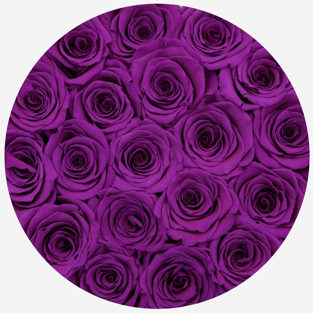 Classic White Box | Bright Purple Roses