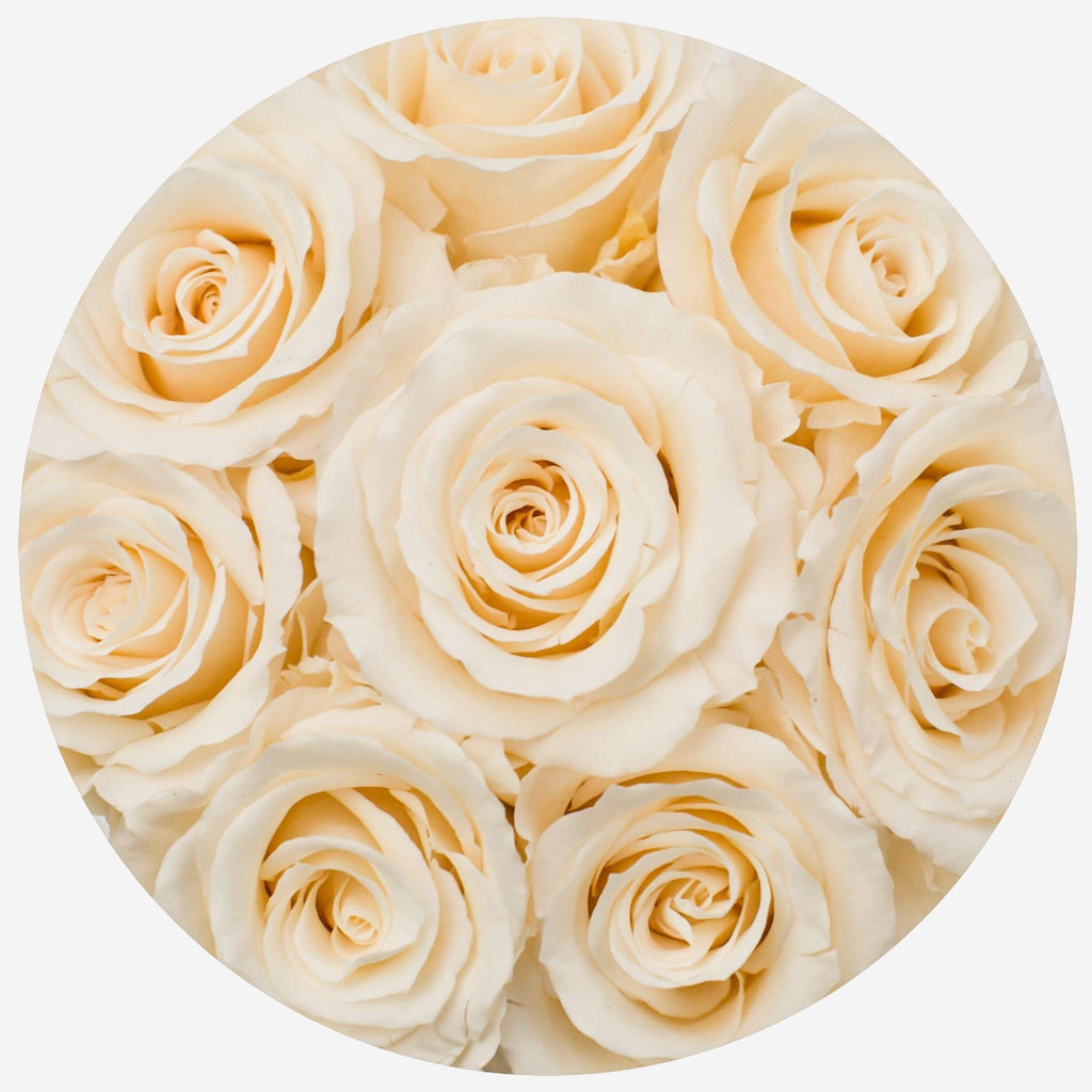Basic Black Box | Ivory Roses