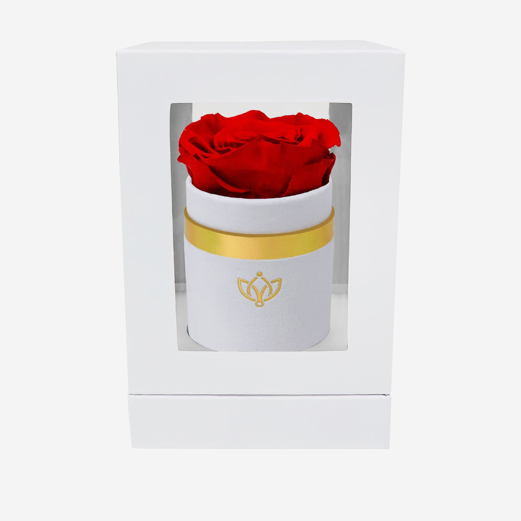 Single White Suede Box | Red Rose
