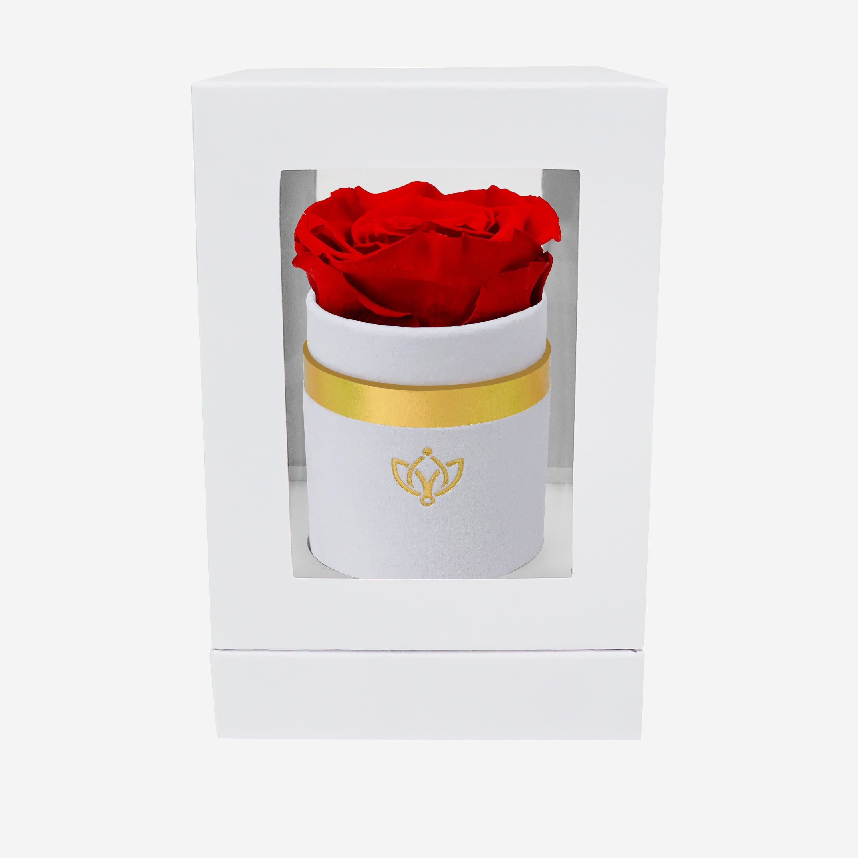 Single White Suede Box | Red Rose