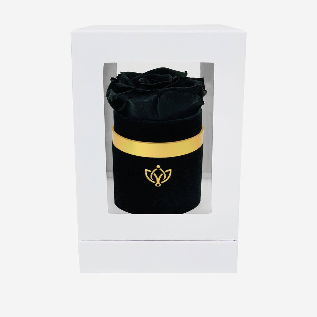 Single Black Suede Box | Black Rose