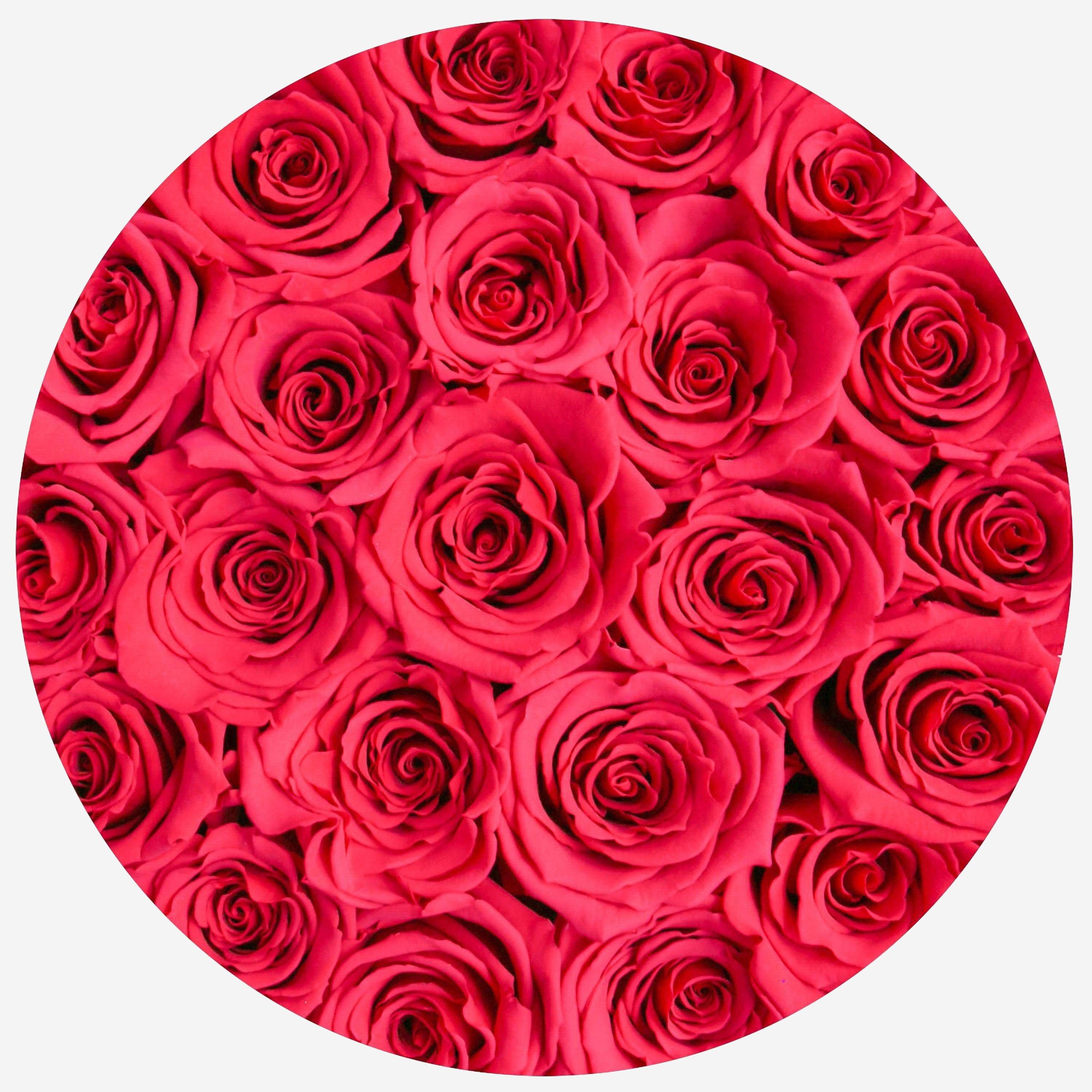 Classic White Box | Hot Pink Roses