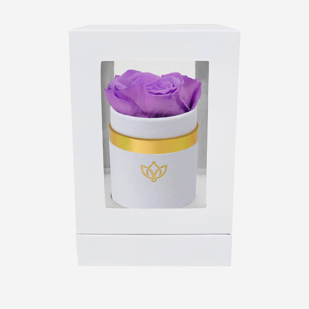 Single White Suede Box | Lavender Rose