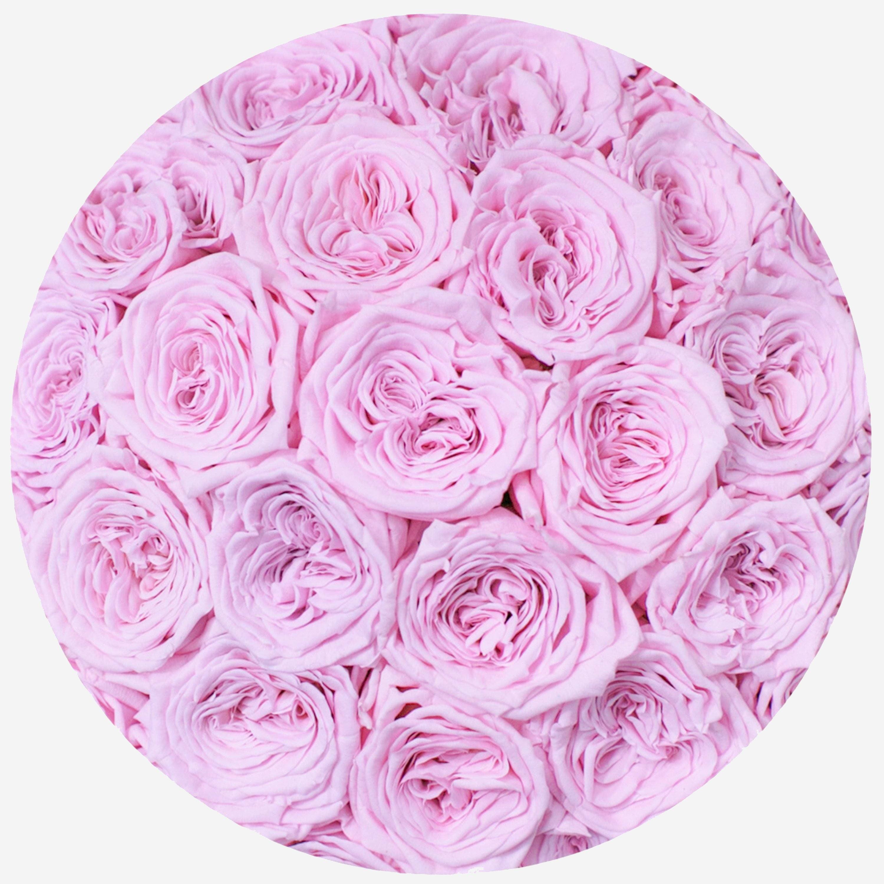 Classic White Dome Box | Light Pink Roses