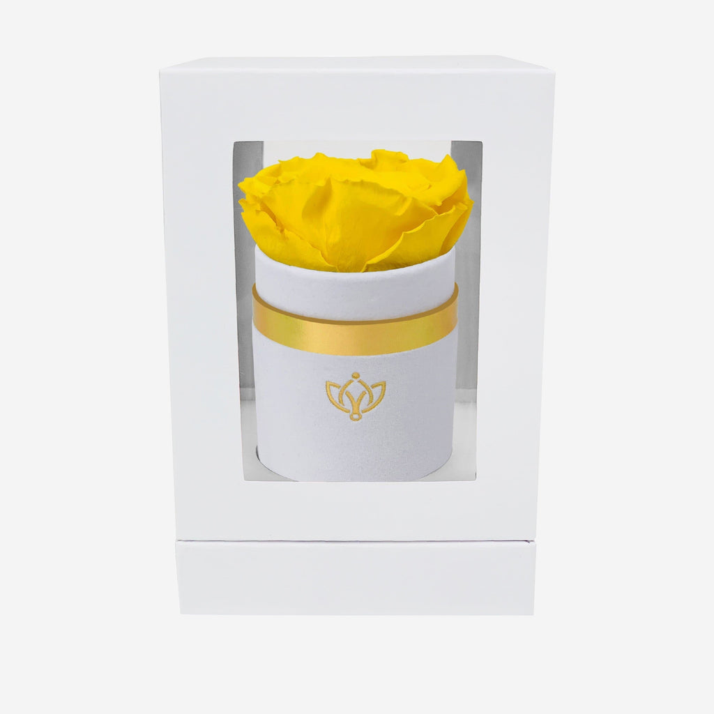 Single White Suede Box | Yellow Rose