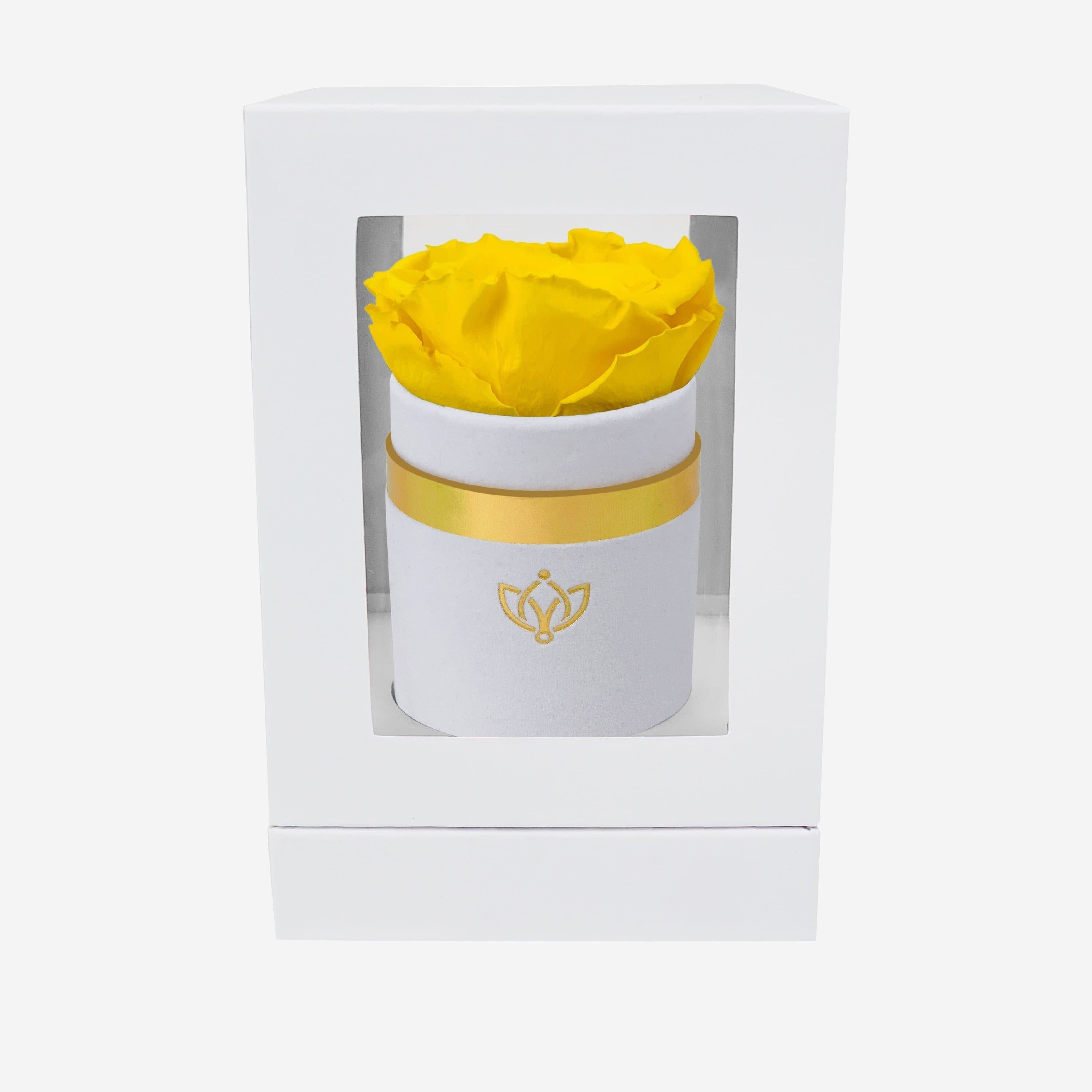 Single White Suede Box | Yellow Rose