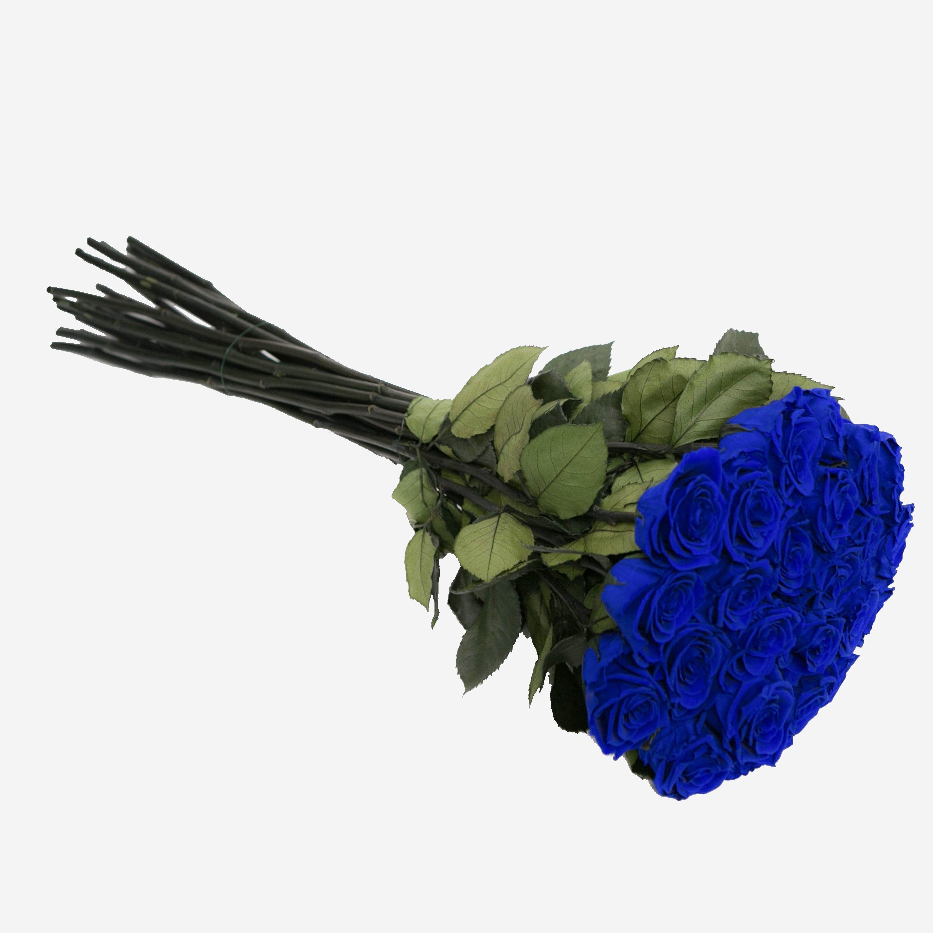 Long Stem Roses | Royal Blue Roses
