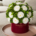 Classic Bordeaux Suede Box | White Persian Buttercups & Green Hydrangeas