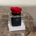 Single Black Suede Box | Red Rose
