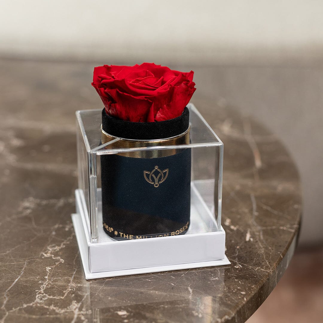 Single Black Suede Box | Red Rose