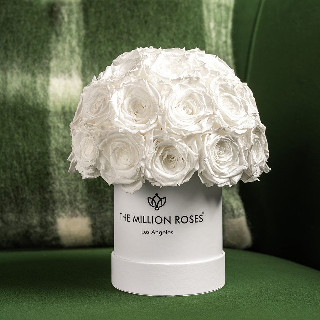 Basic White Superdome Box | White Roses