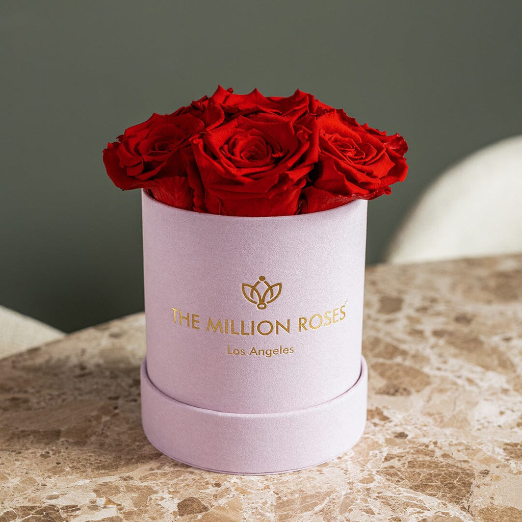 Basic Light Pink Suede Box | Red Roses