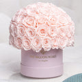 Classic Light Pink Suede Superdome Box | Light Pink Roses