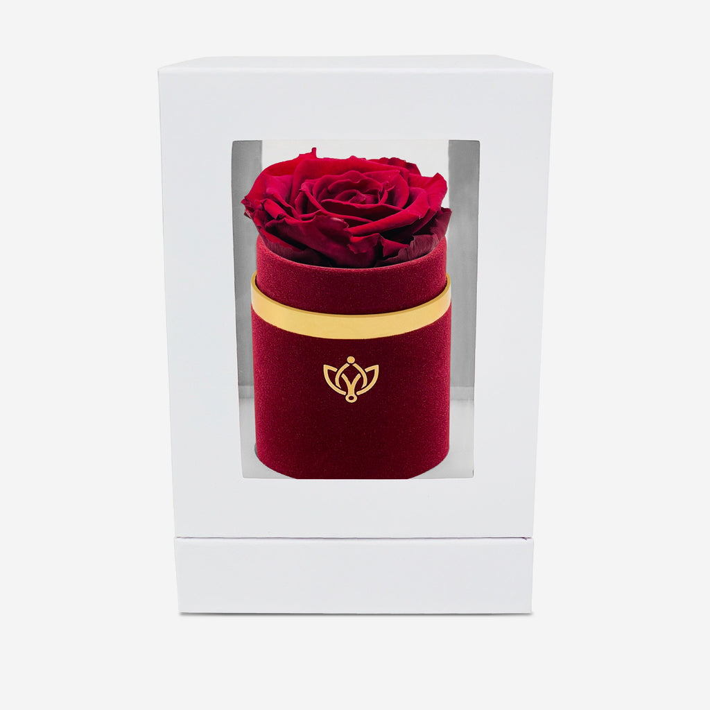 Single Bordeaux Suede Box | Burgundy Rose