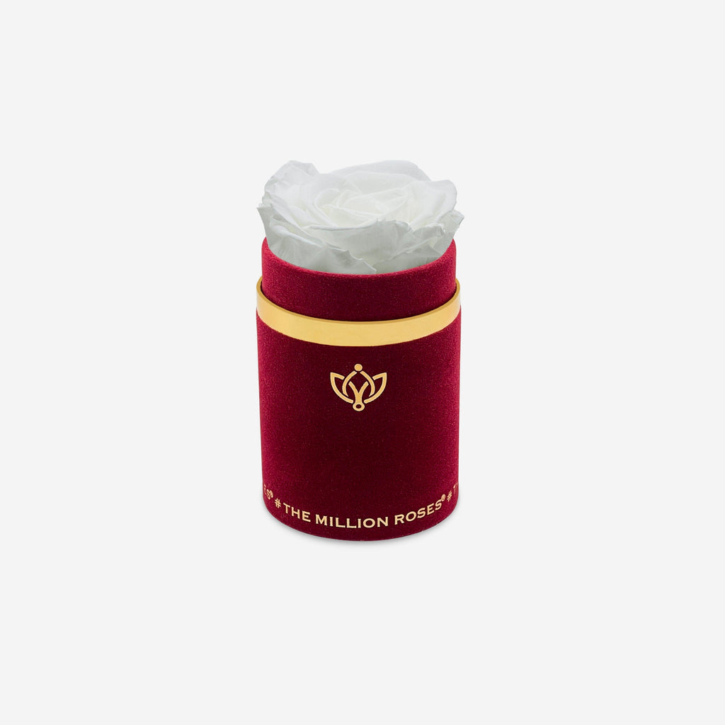 Single Bordeaux Suede Box | White Rose