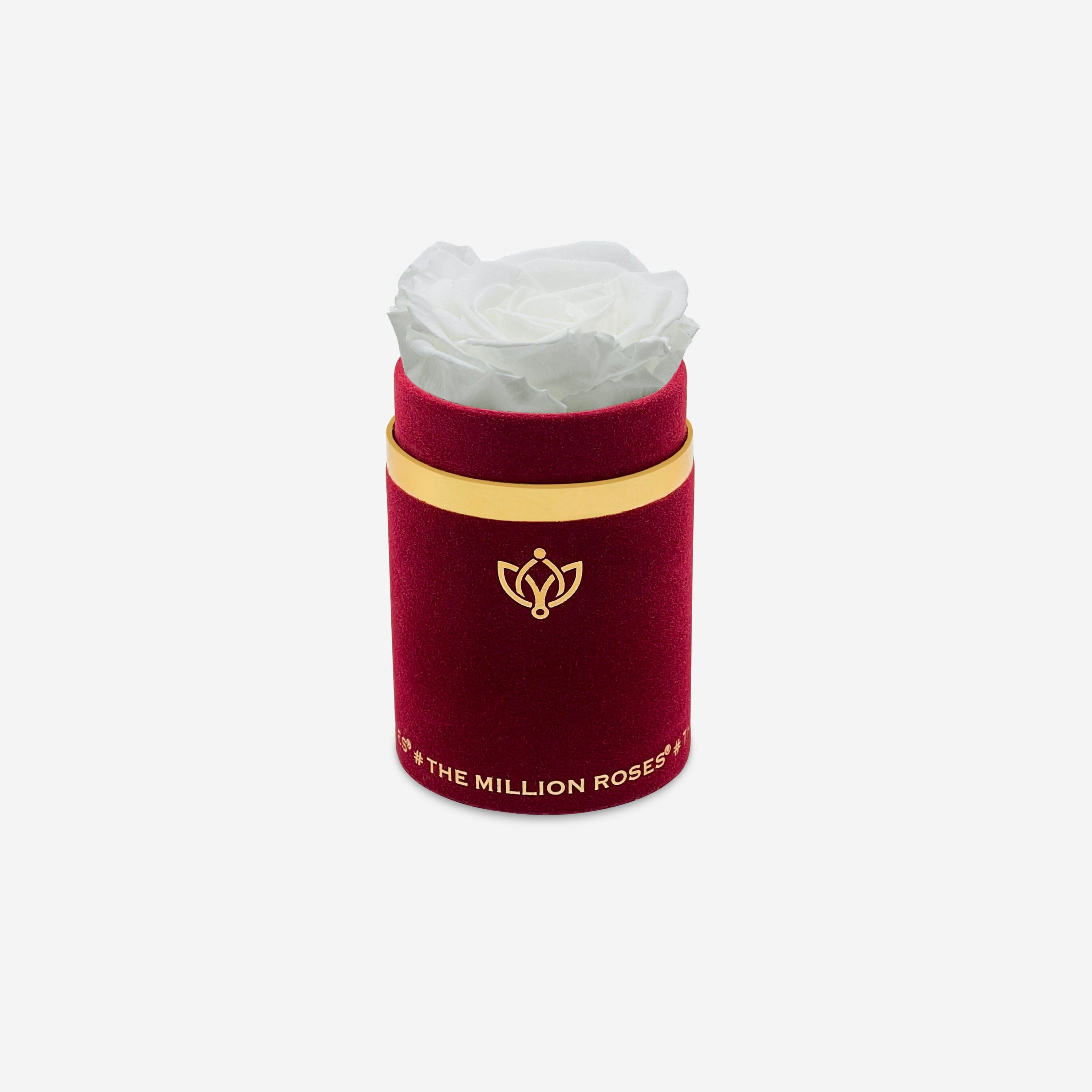 Single Bordeaux Suede Box | White Rose