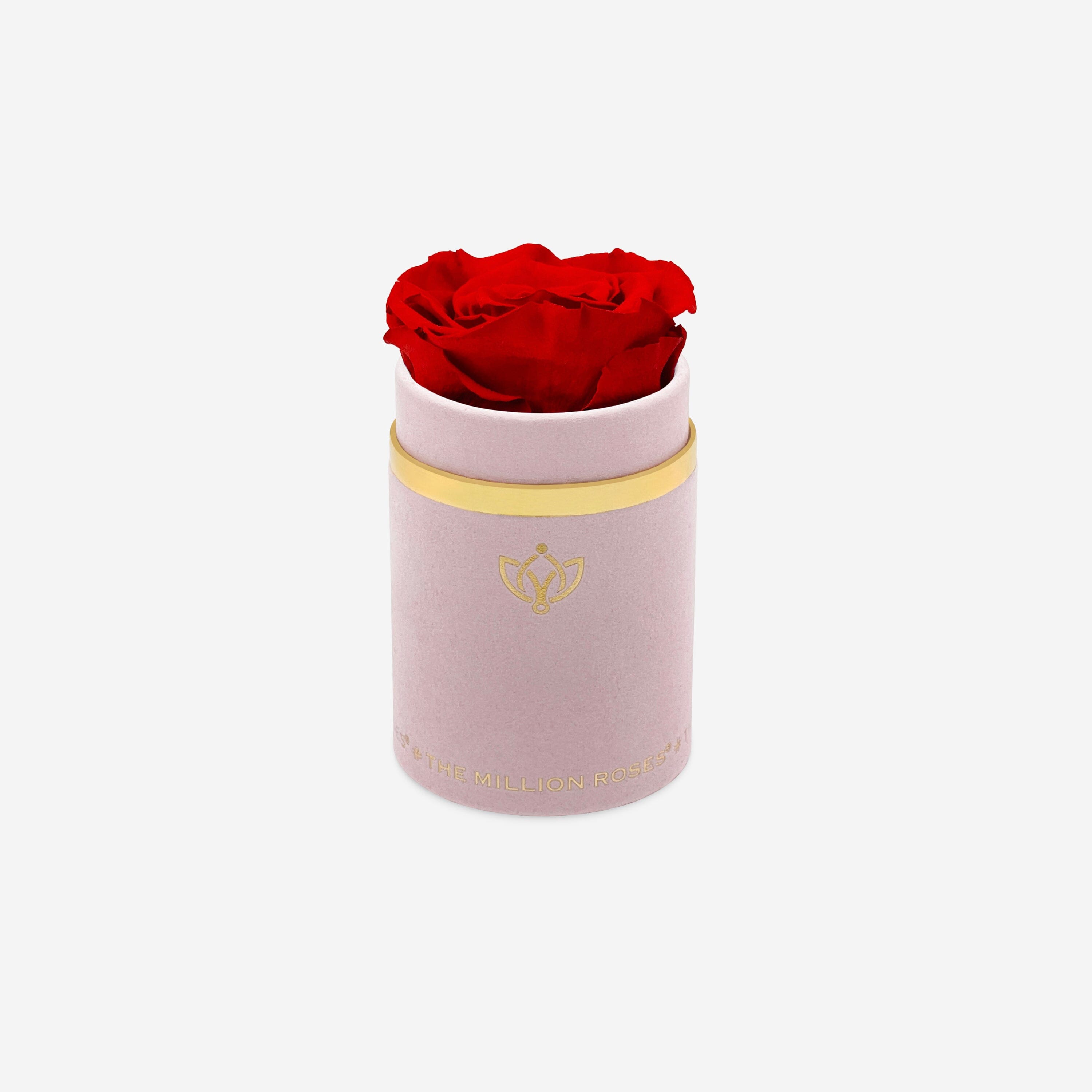 Single Light Pink Suede Box | Red Rose