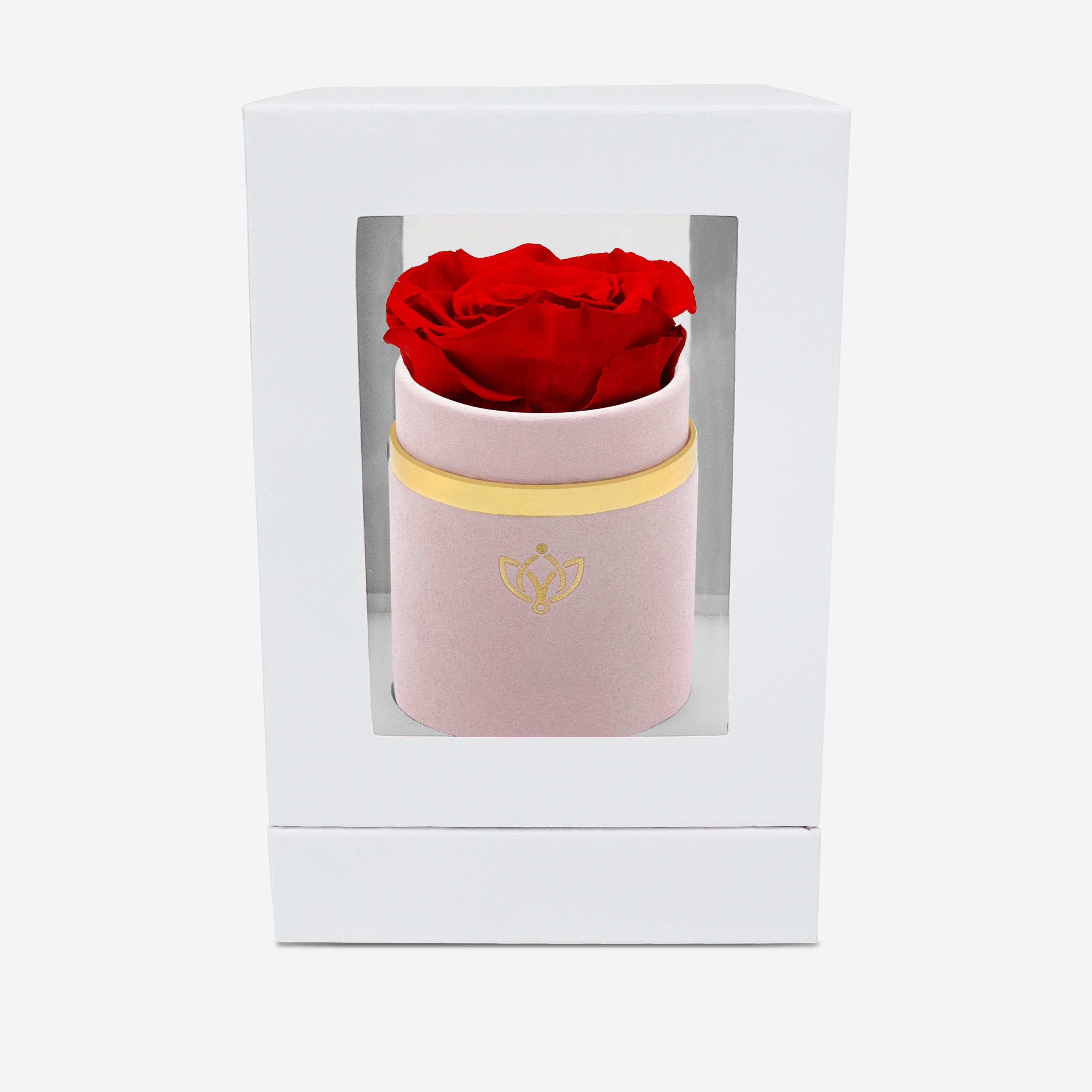 Single Light Pink Suede Box | Red Rose
