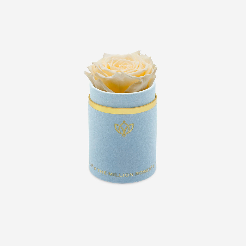 Single Light Blue Suede Box | Ivory Rose