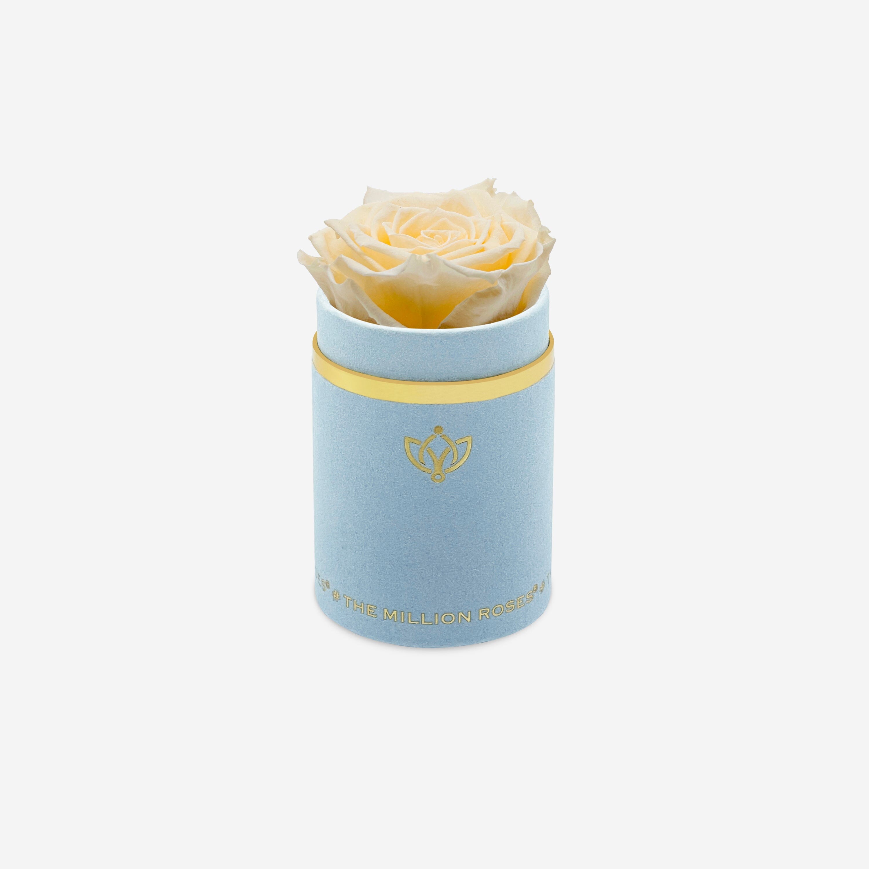 Single Light Blue Suede Box | Ivory Rose