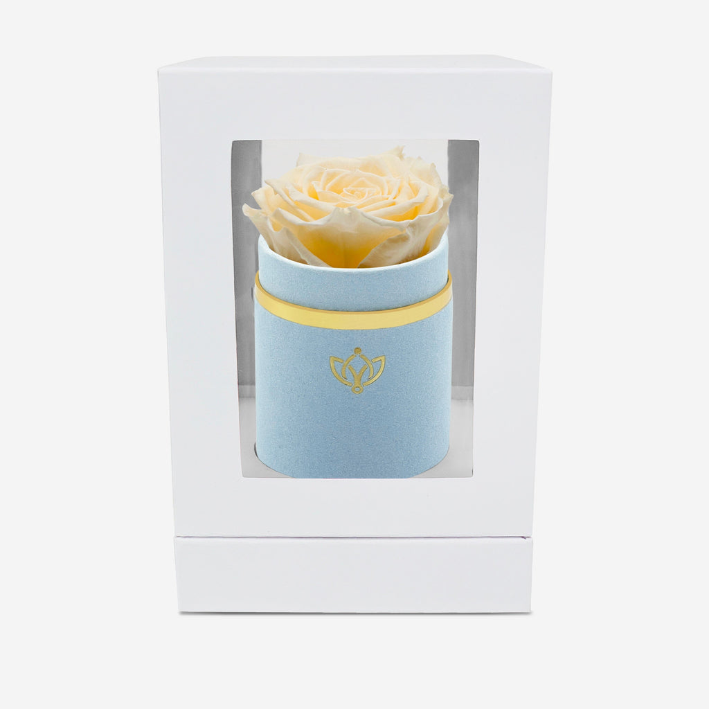 Single Light Blue Suede Box | Ivory Rose