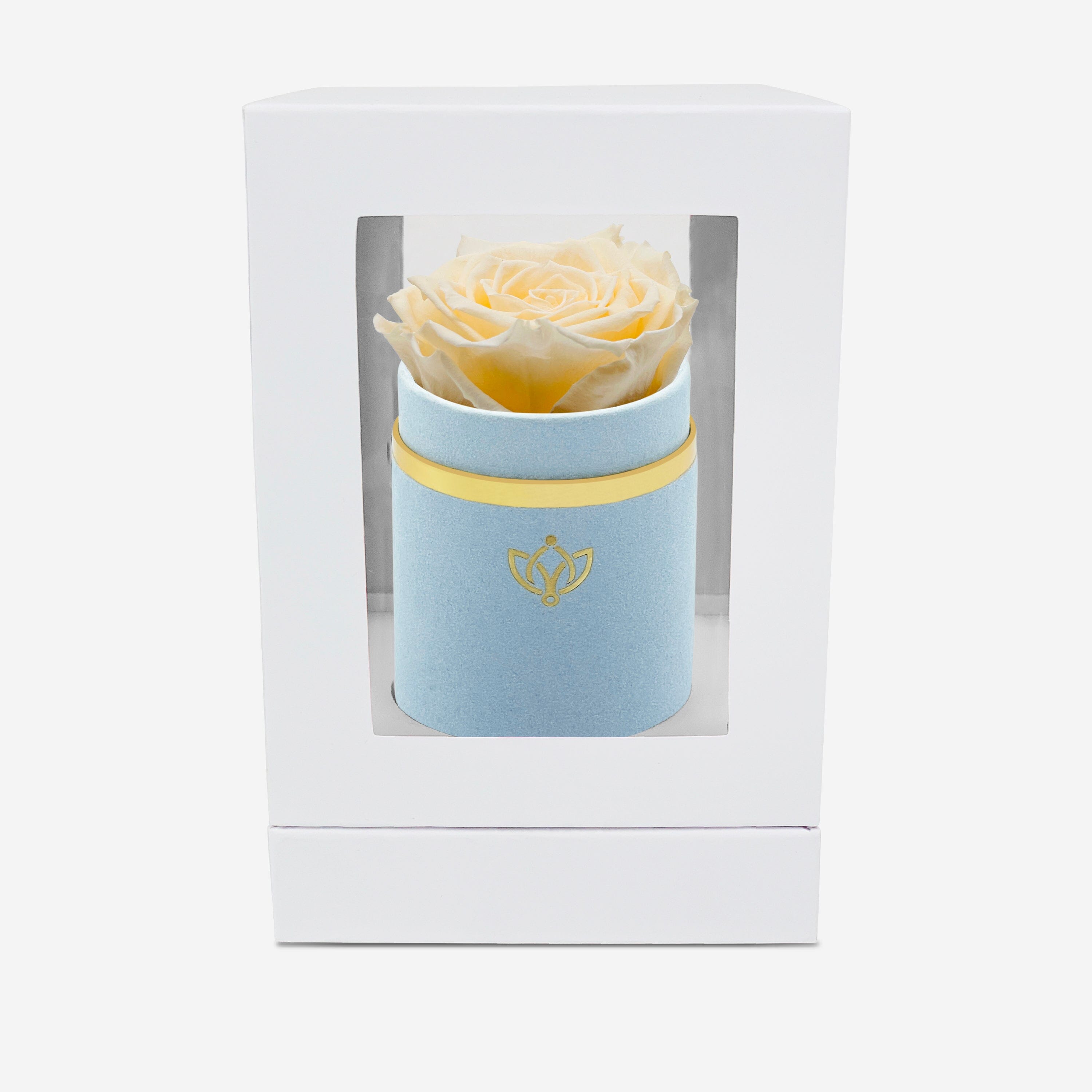 Single Light Blue Suede Box | Ivory Rose