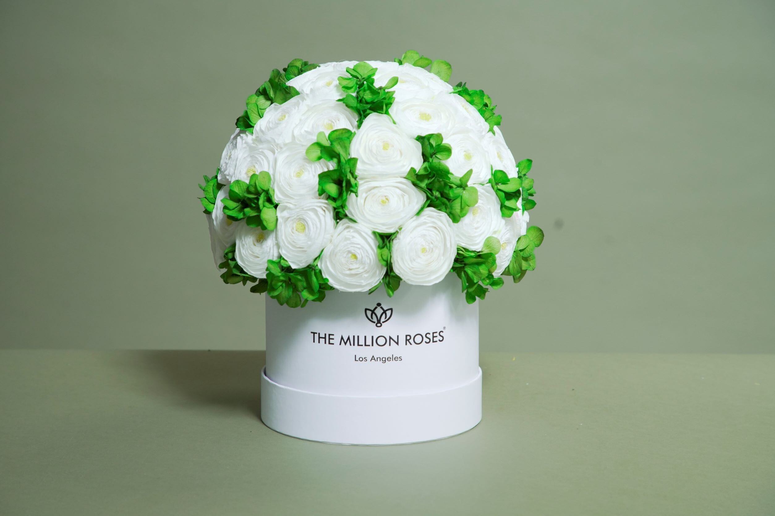Classic Light Pink Suede Box | White Persian Buttercups & Green Hydrangeas