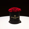 Basic Black Box | Magenta & Burgundy Roses