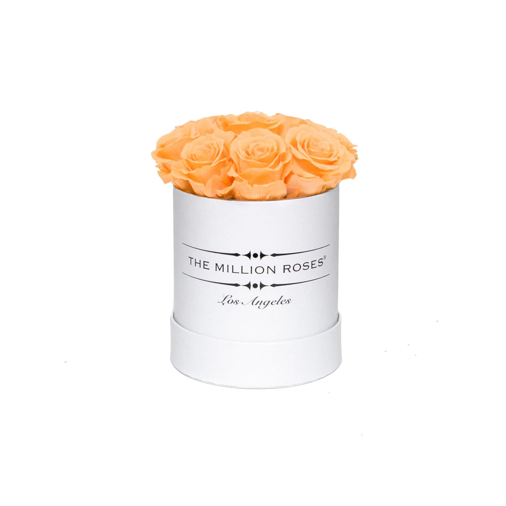 Basic White Box | Peach Roses